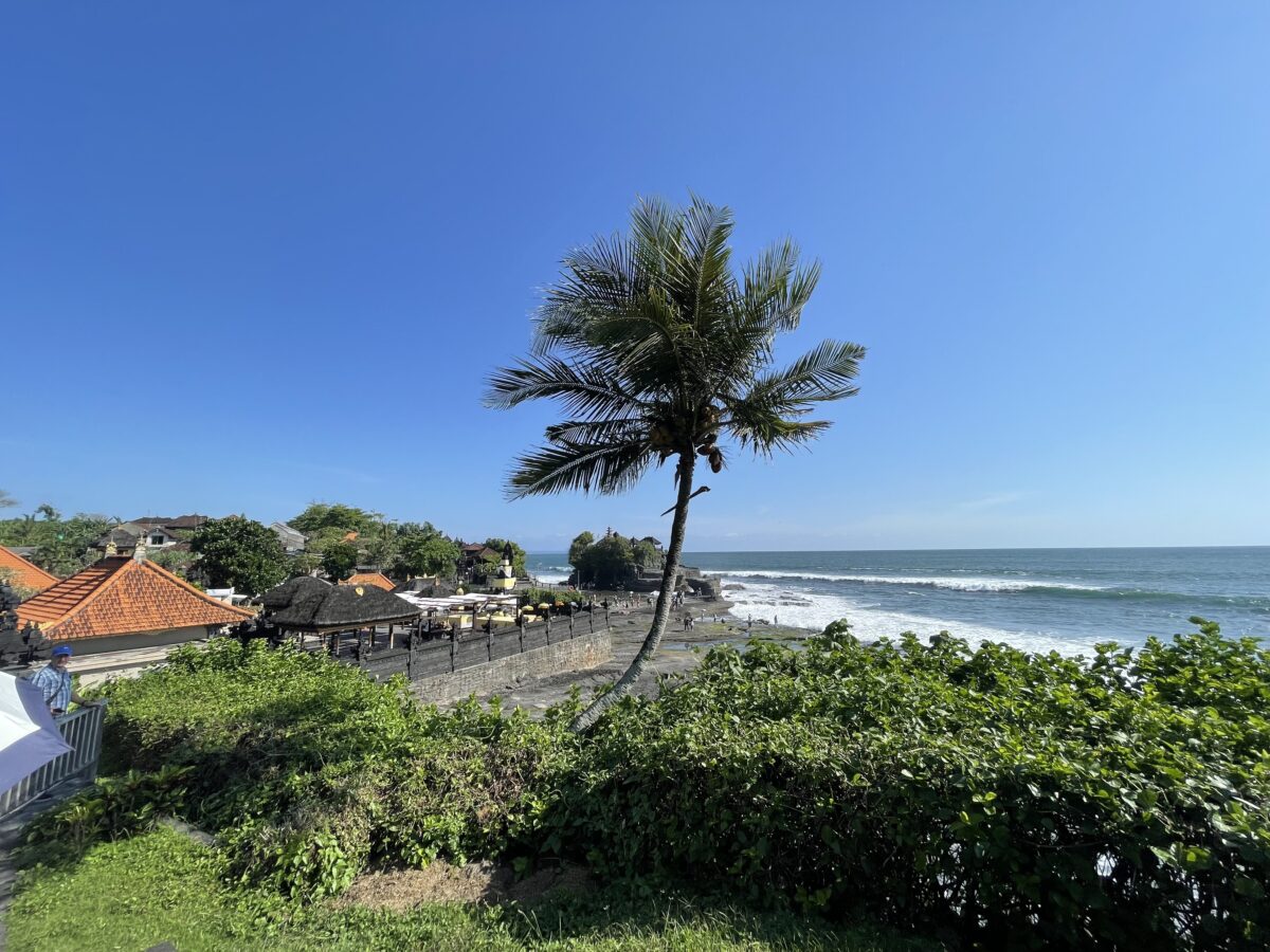 ブログ復活と香港の今